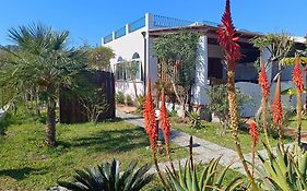 Garden & Sea